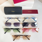 Cartier Sunglasses-CT0582S